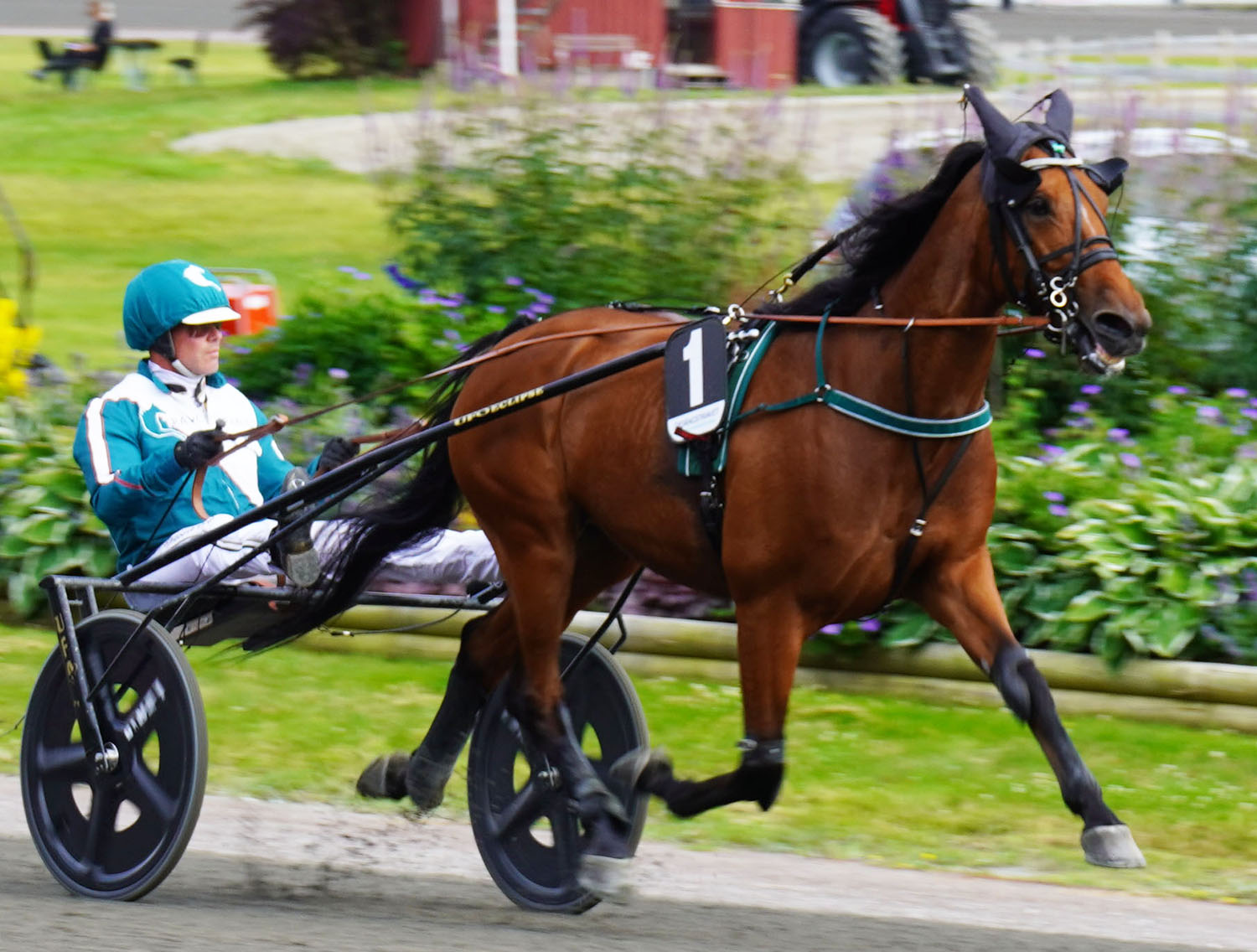 Great Old Dance 250712-3